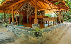Leopard Reach Yala By Seven Angels